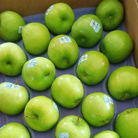 

Apel Hijau apel Granny Smith