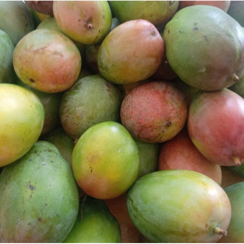 

Mangga Irwin Fresh Super 1 Kg