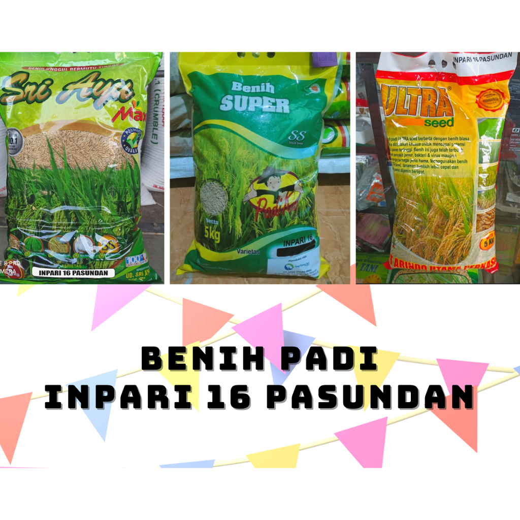 Benih Padi Unggul Inpari 16 Pasundan Kemasan 5 kg
