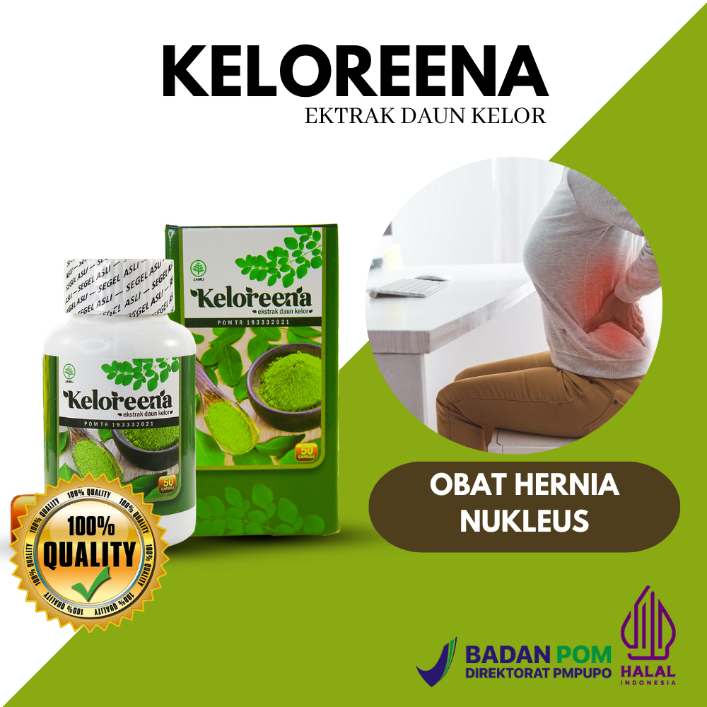 Obat Herbal Hernia Nukleus Pulposus / Saraf Kejepit/Terjepit, Nyeri Leher, Punggung kelorena ektrak 