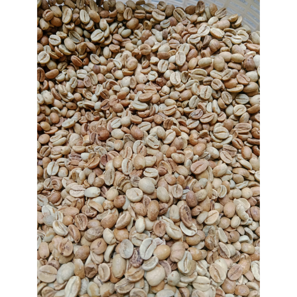 

Kopi Biji/Green Bean arabika Aceh gayo Wine 1KG
