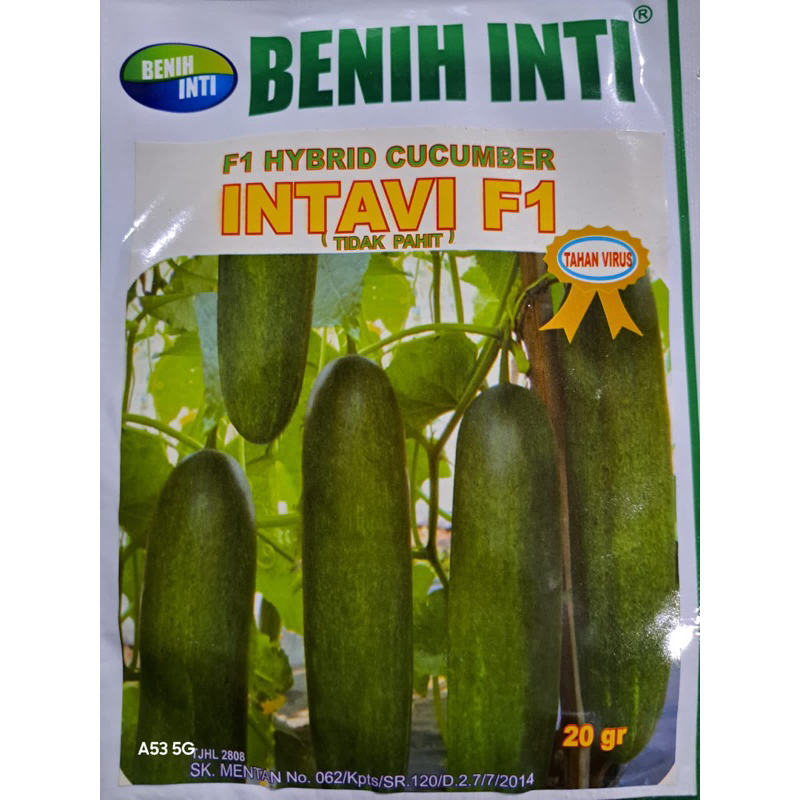 Benih Timun Hibrida INTAVI F1 20Gr Benih Inti
