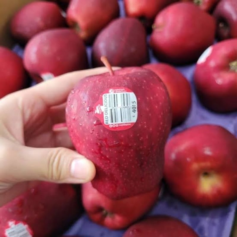 

Apel Merah USA 500 gram - 1 kg Surabaya Best Seller