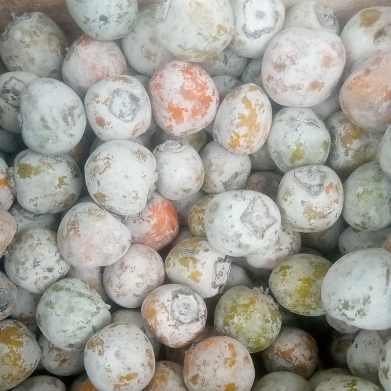 

Buah kesemek