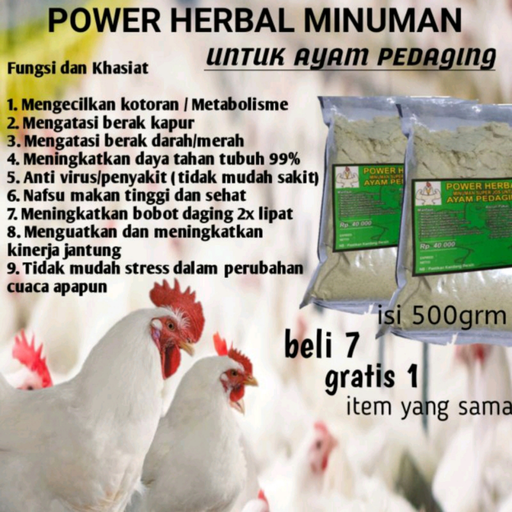 JAMU AYAM PEDAGING VITAMIN AYAM BROILER CEPAT GEMUK VITAMIN AYAM PEDAGING POWER HERBAL AYAM PEDAGING