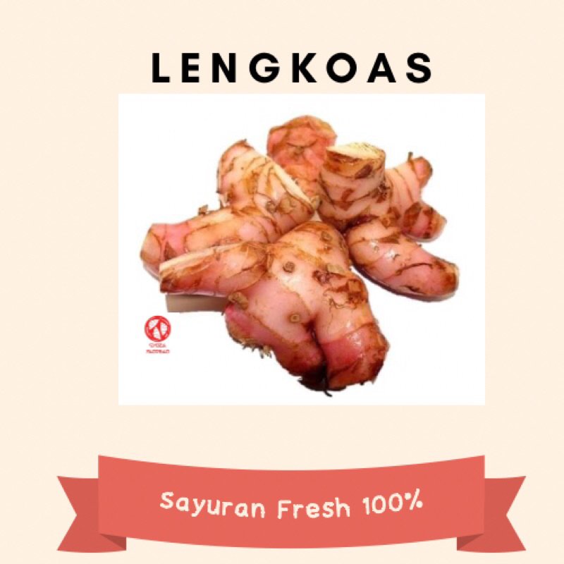 

LENGKOAS FRESH