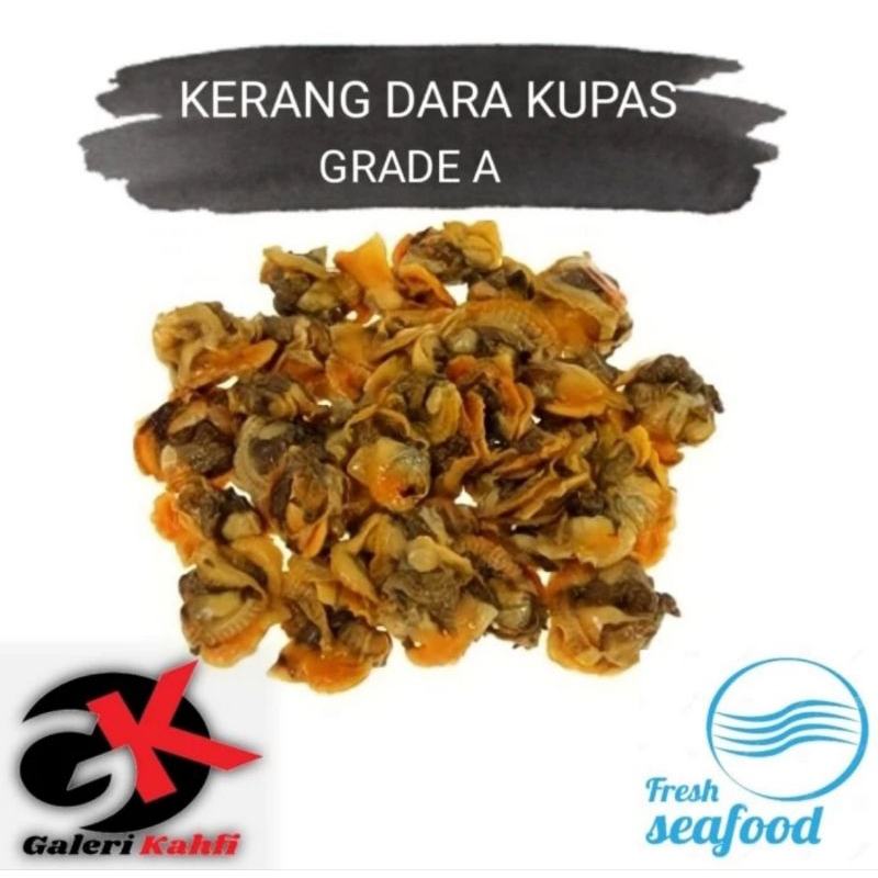 

KERANG DARA KUPAS FRESH Berkualitas GRADE A - 1KG / ANEKA SEAFOOD SEGAR / ANEKA KERANG KUPAS SEGAR