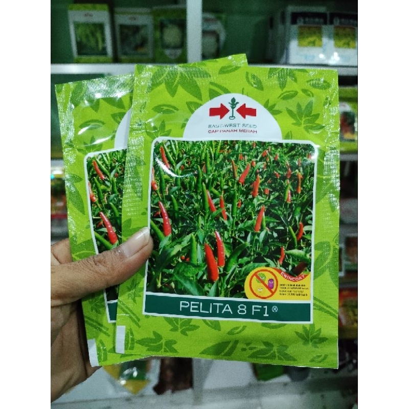 

Cabe Pelita 8 F1 2.250 Butir Original