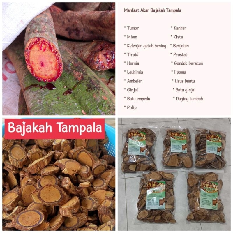 

Bajakah Tampala 1kg
