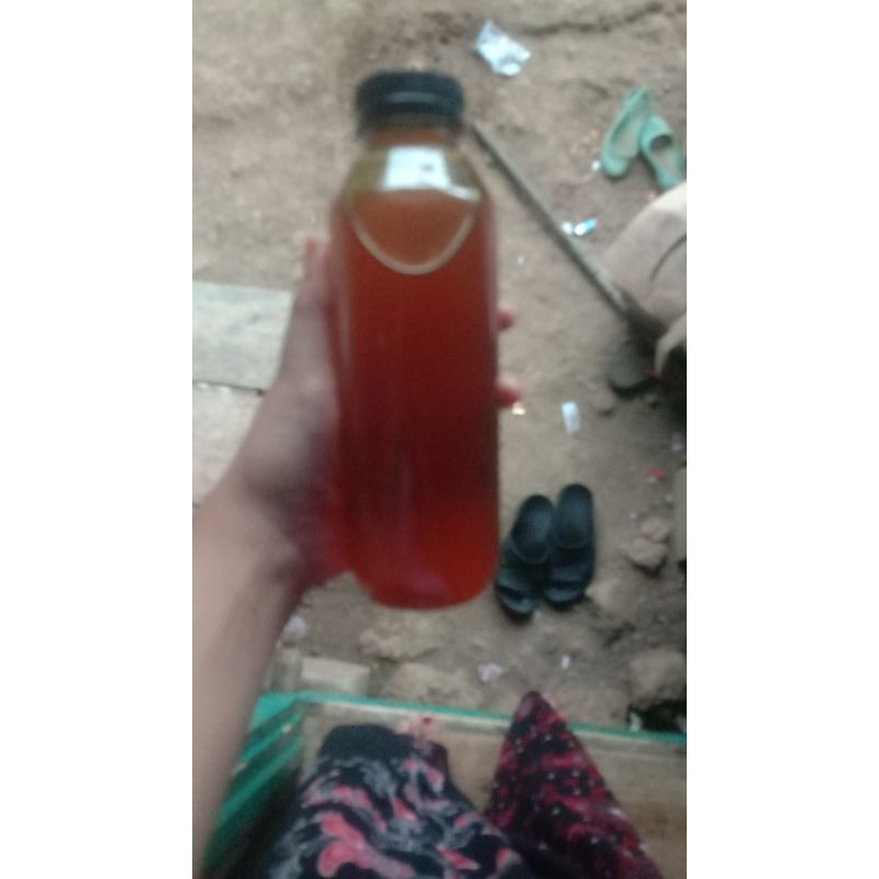 

madu tawon asli