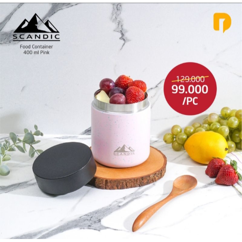 scandic food container