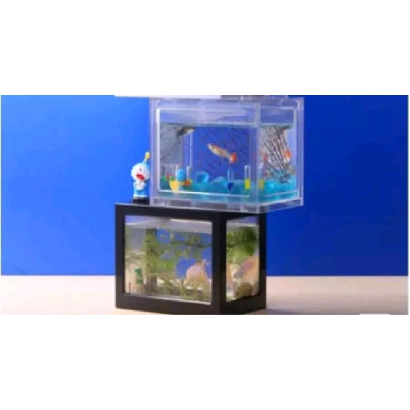aquarium akrilik mini
