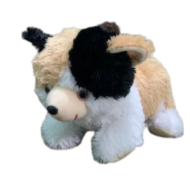 Boneka cantik kucing anggora