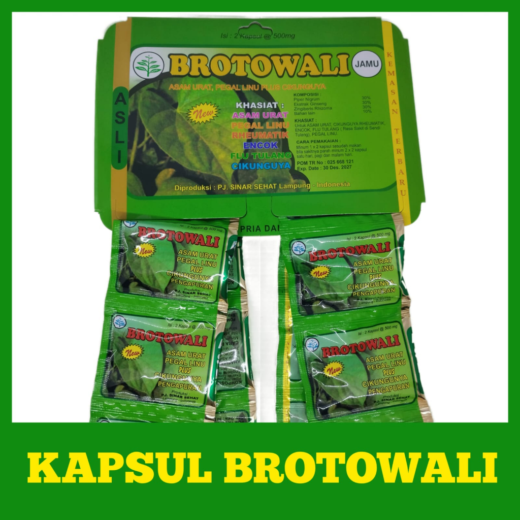 Kapsul Brotowali Obat Herbal Asam Urat, Pegal Linu, Rheumatik, Encok, Flu Tulang, Chikungunya