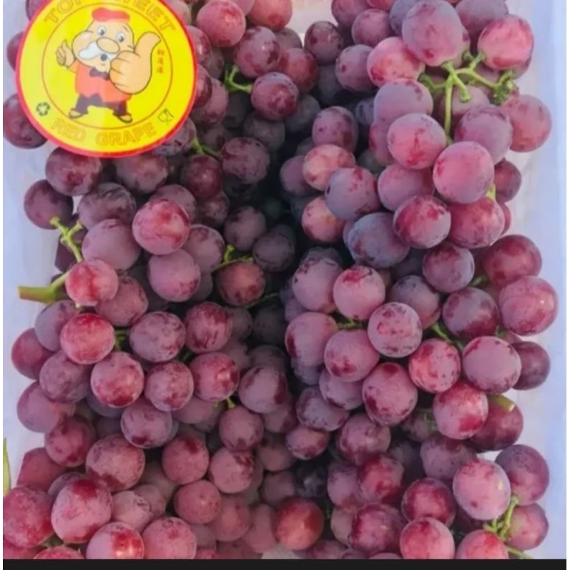 

Anggur Merah Amerika Jumbo