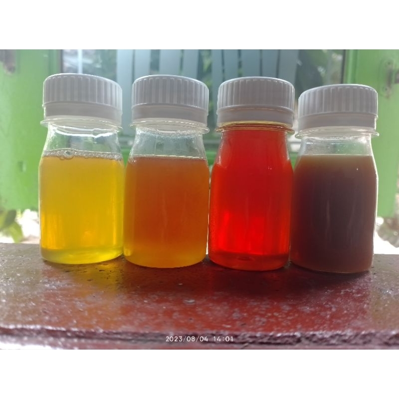 Madu klanceng kelulut trigona levi bambu Sarawakensis itama terminata