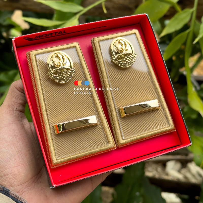 PANGKAT ASN PEMPROV JAWA BARAT 3A 3B 3C 3D 4A 4B MIKA BENING