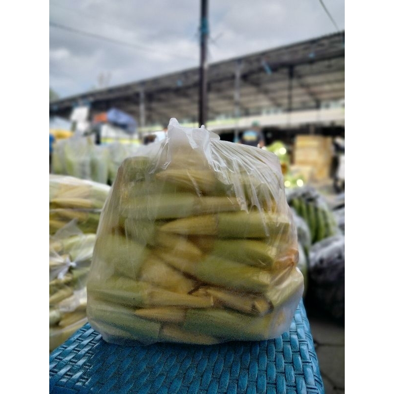 

Jagung Putren Lentre Putri