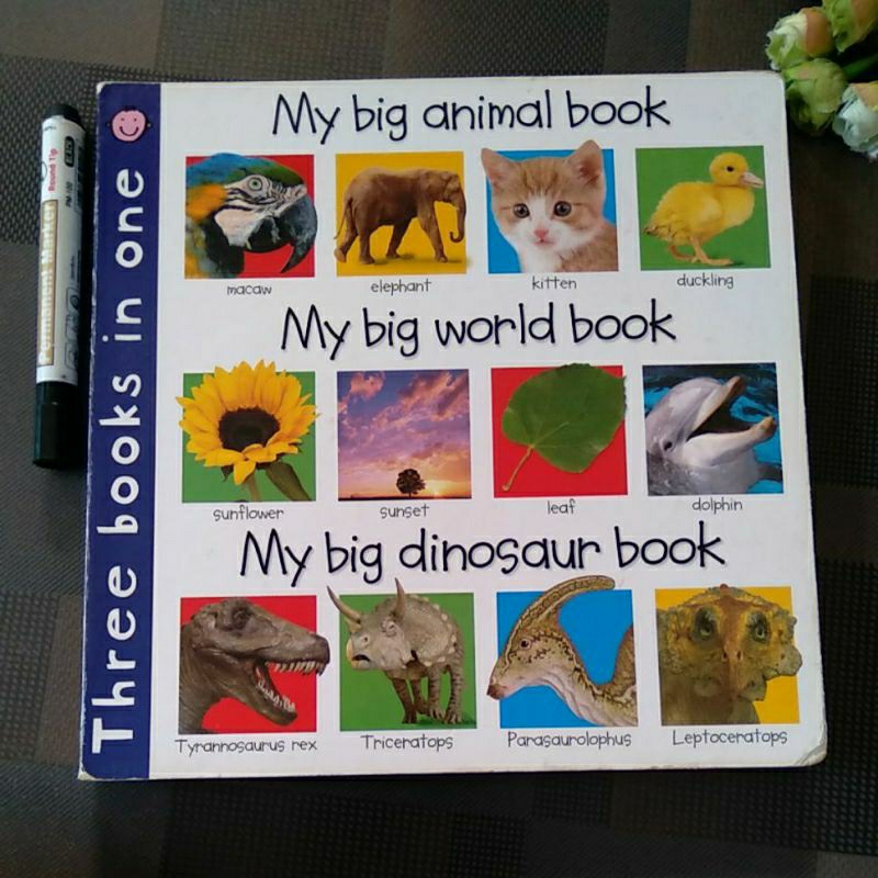 Boardbook three books in one preloved priddy books