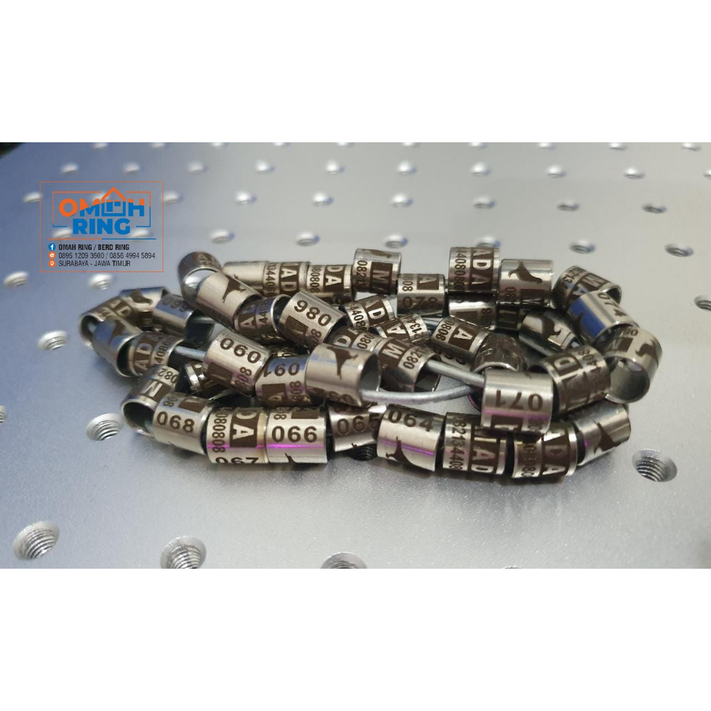 Baja 1 cm laser logo variasi | Omah Ring | Burung Merpati