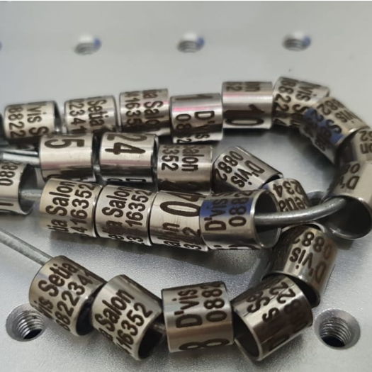 Baja Laser STD tinggi 1 cm | Omah_Ring | Burung Merpati