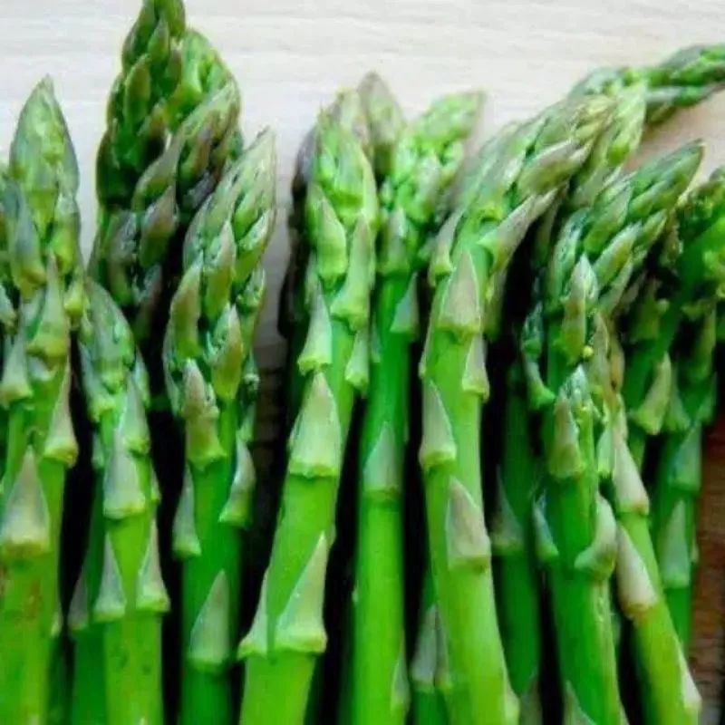 5 biji benih/bibit Asparagus