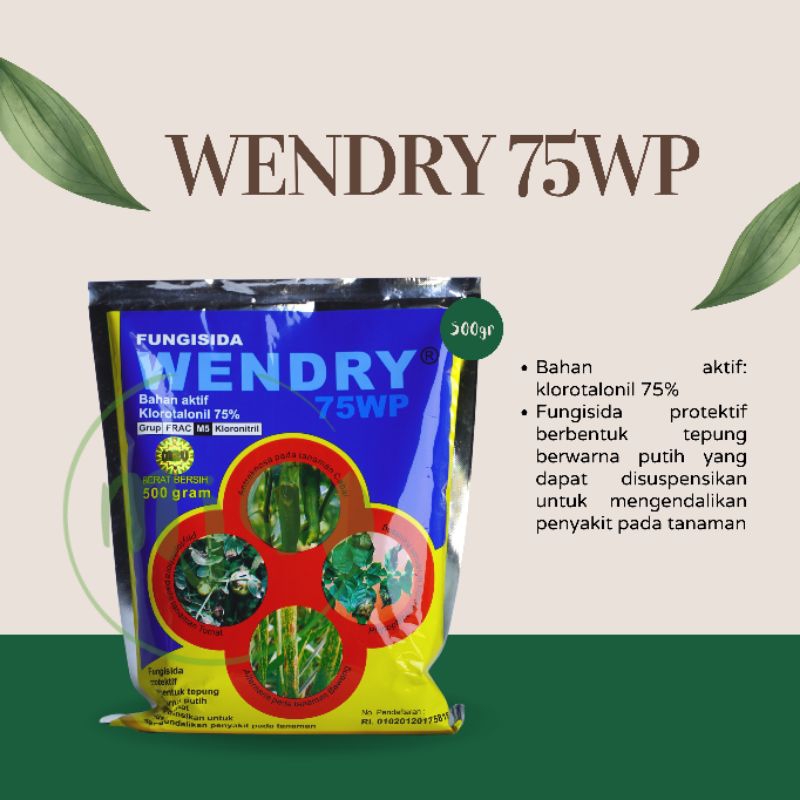 FUNGISIDA WENDRY 75WP 500GR