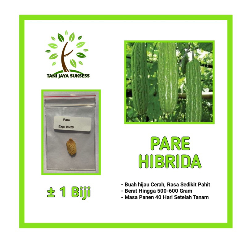1 Benih Pare Hibrida Benih Pare Hibrida Unggul Berkualitas Bibit Pare Hibrida Bibit Sayuran