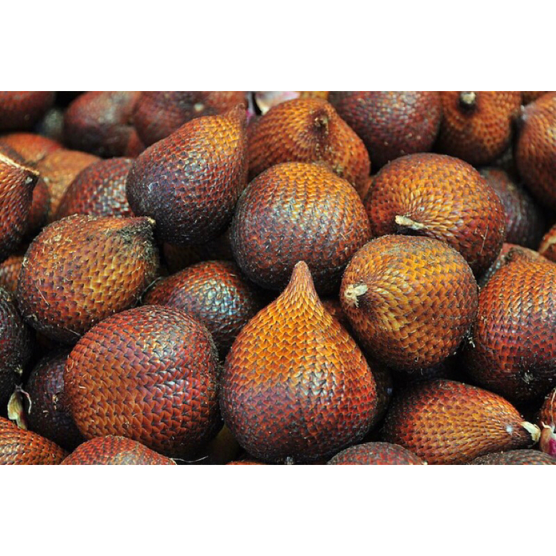 

SALAK 1KG FRESH