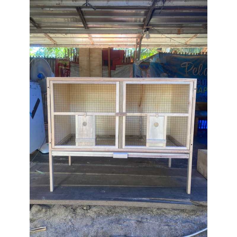 kandang merpati 2 ruang | kandang merpati kolong