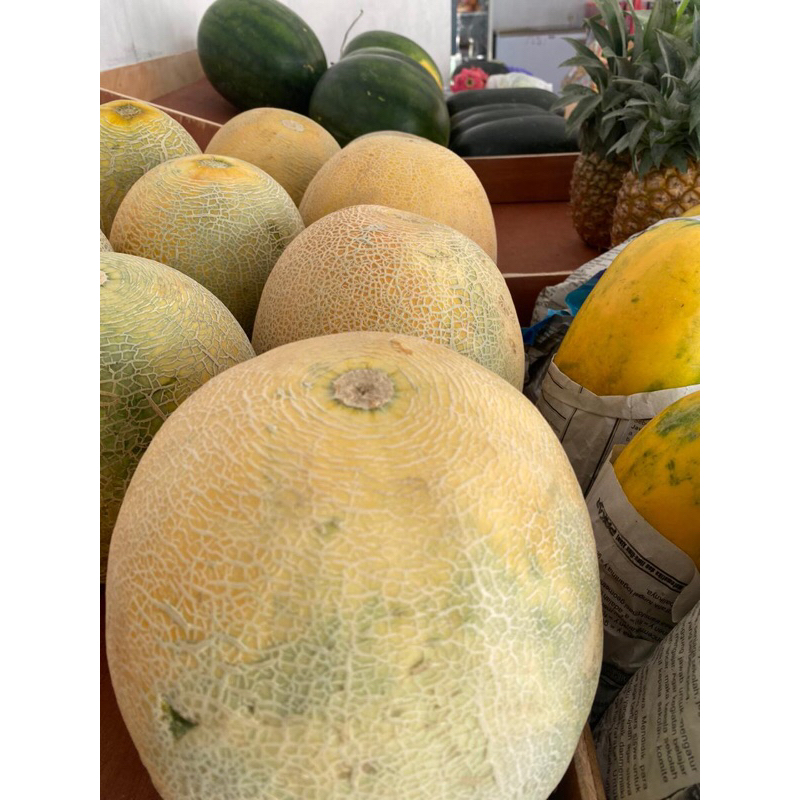 

Melon Fresh 1Kg