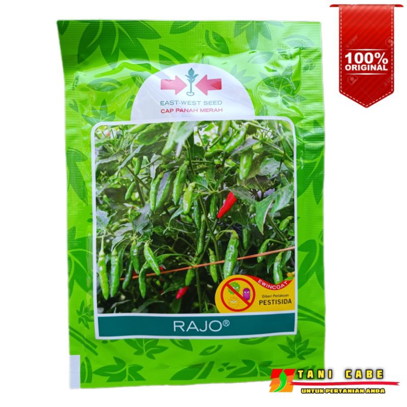 RAJO CABAI RAWIT HIJAU 2250 butir - PANAH MERAH