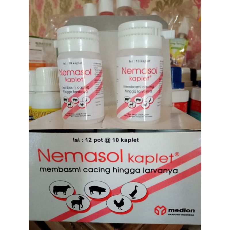 nemasol kaplet basmi cacingan hewan peliharaan isi 10 kaplet