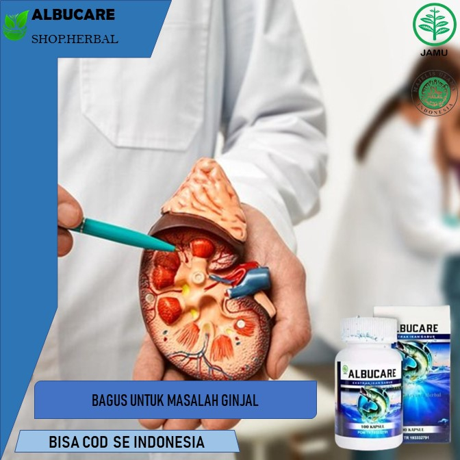 obat ginjal Obat Herbal Ginjal Bengkak Obat Ginjal Kronis, Obat Gagal Ginjal, Obat Herbal Ginjal Kot