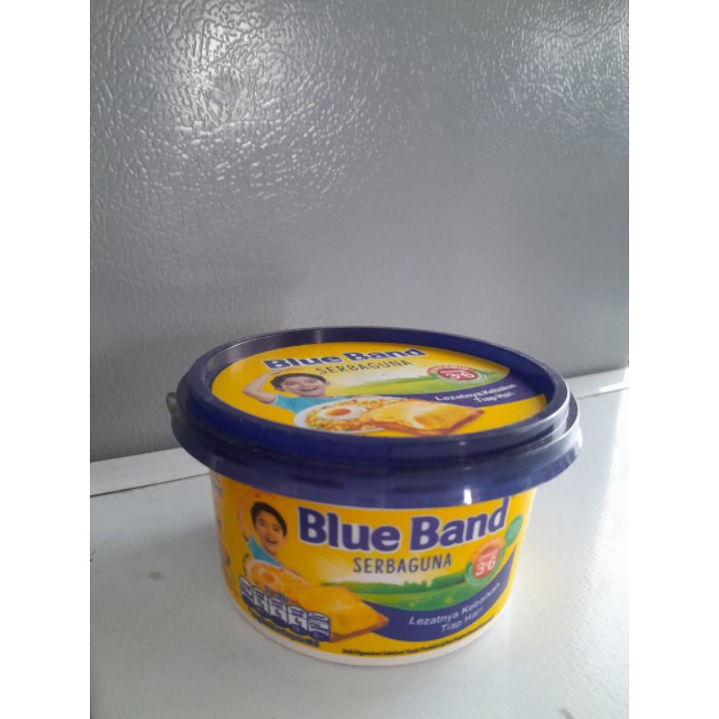 

BLUEBAND SERBAGUNA TUBE 250gr
