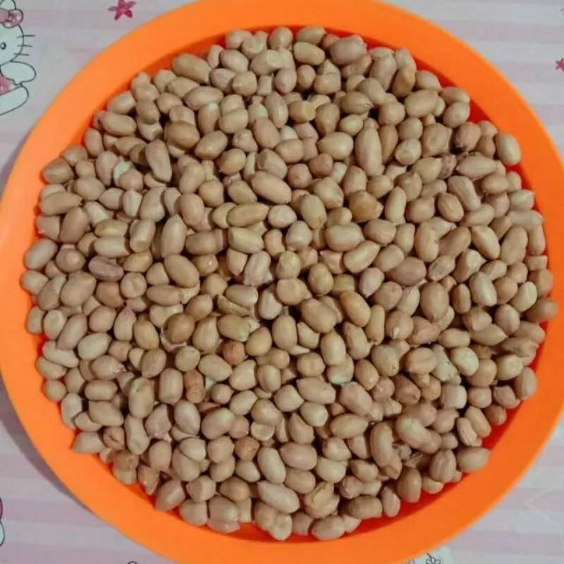 

Kacang tanah