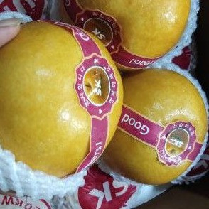 

QUEEN BUAH - BUAH PIR KOREA / PEAR KOREA ASLI 1PC