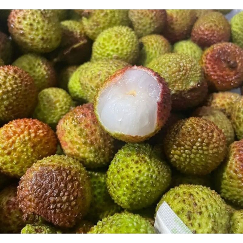 

BUAH LECI FRESH/LECI 1KG SUPER MANIS/BUAH LECHY FRESH 1KG