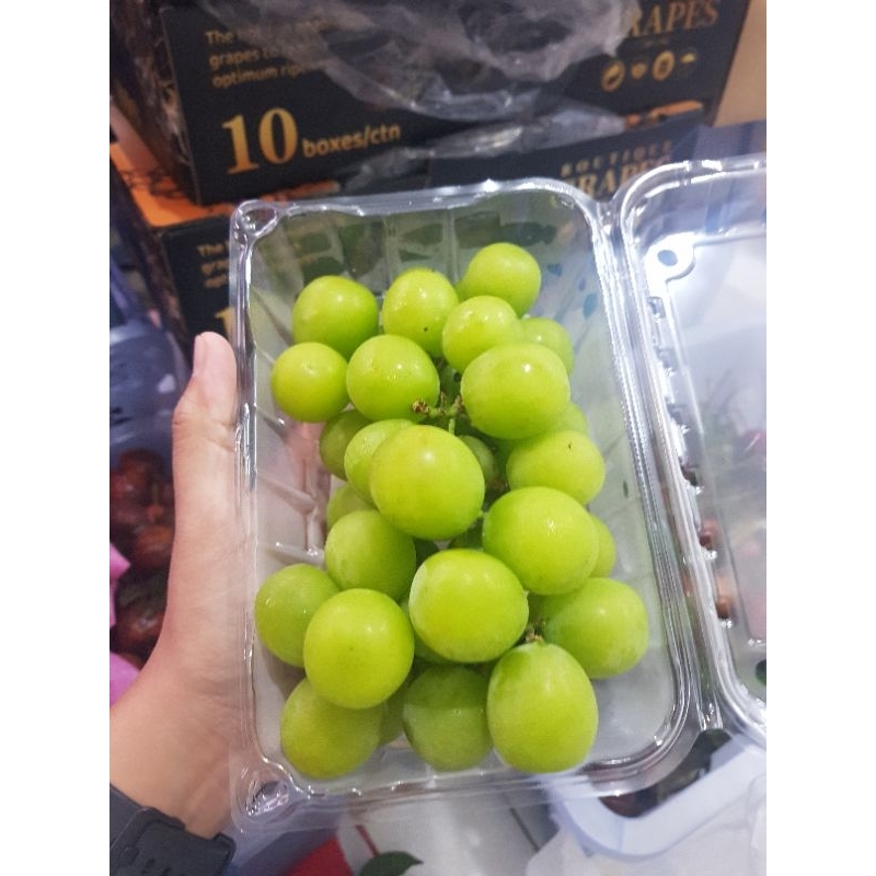

Anggur Shine Muscat Pack