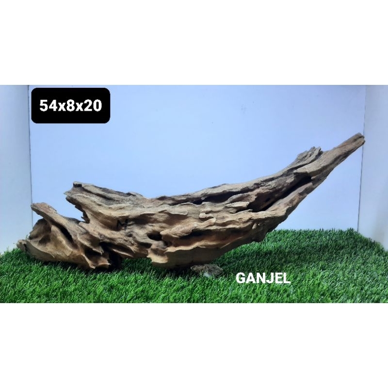 Kayu Rentek Aquascape Sudah Rendaman Full Tenggelam
