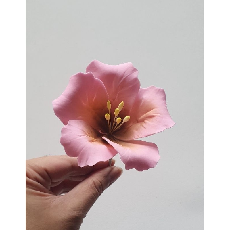 

hibiscus D10 / edible / veganpaste