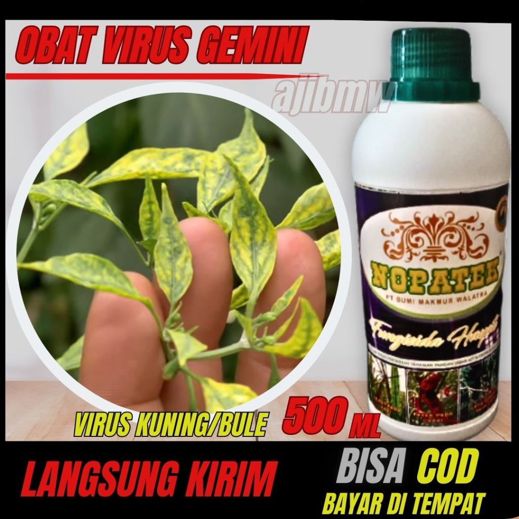 NOPATEK Fungisida Hayati Obat Hama Patek Cabe virus kuning gemini Mengatasi Hama Penyakit Patek pada