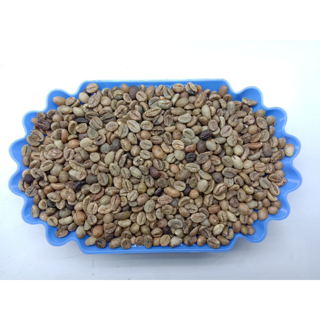 ELB 450 GRADE 3 / ROBUSTA GREEN BEAN / BIJI KOPI MENTAH ROBUSTA LAMPUNG  - 1 KG