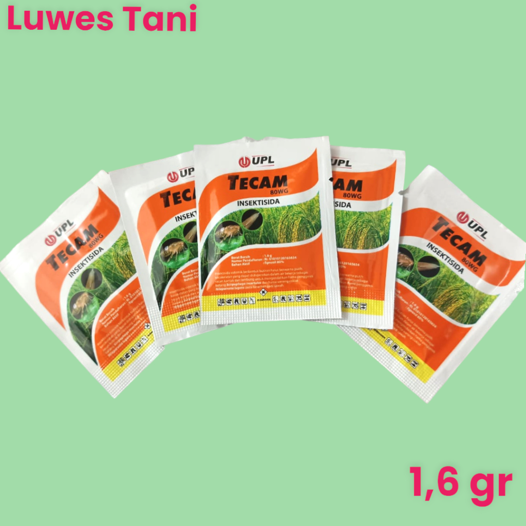 Tecam 80 WG insektisida sistemik Sundep semut wereng