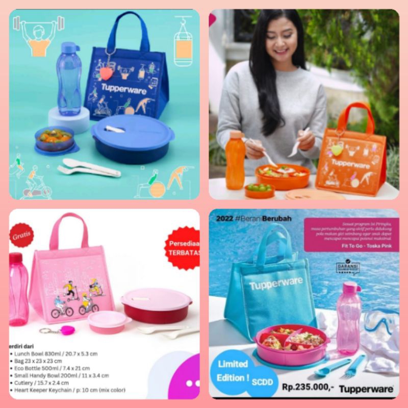 FIT TO GO LUNCH SET TEMPAT BEKAL