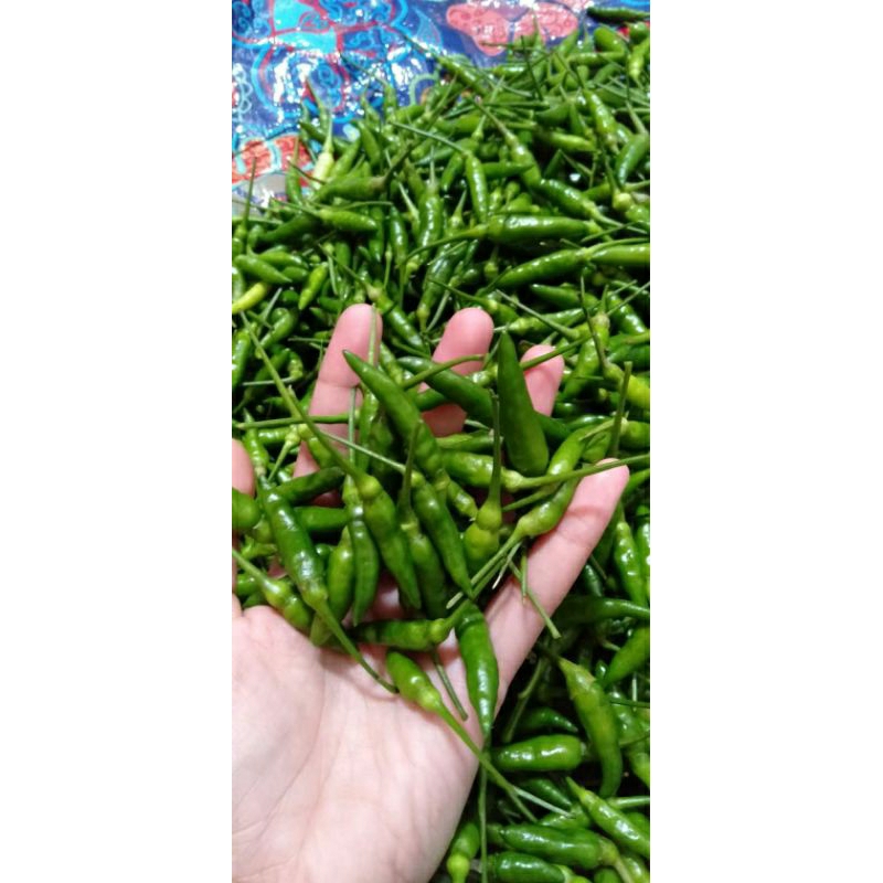 

cabe rawit hijau 250 gram