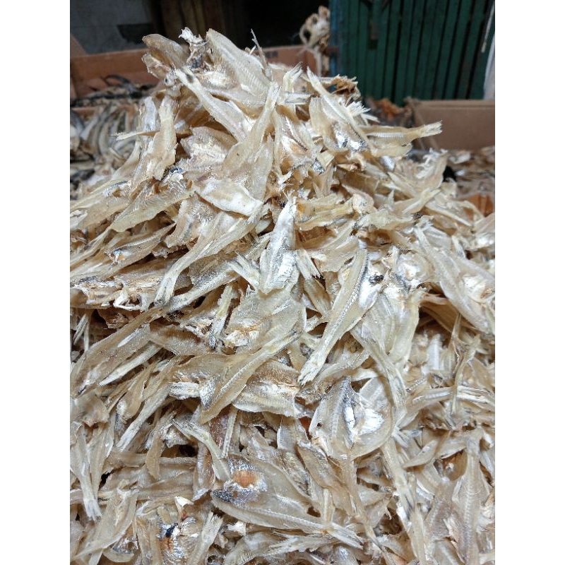 

(COD) BILIS BELAH TAWAR