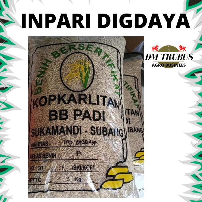 Benih padi Inpari DIGDAYA LABEL UNGU BERAT 5 KG