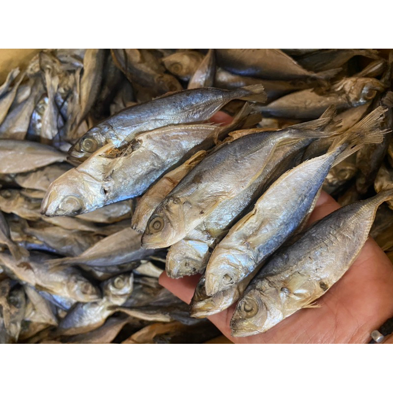 

Bentong kecil/ Mancing kecil 250 gram