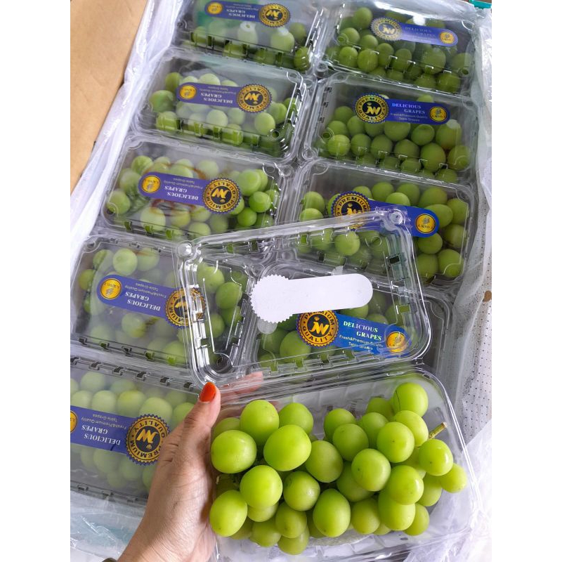 

Anggur Hijau Muscat Fresh Import